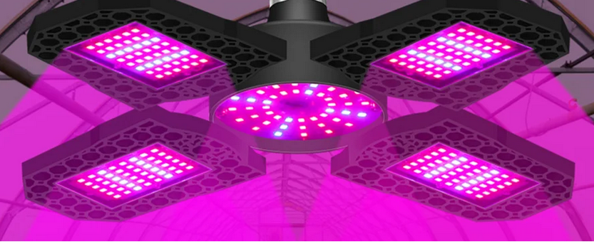 120 watt equivalent LED grow light. Screws into standard outlet. Has 180 red LEDs and 60 blue LEDs. LED type: SMD2835. One light suitable for medium size plants.