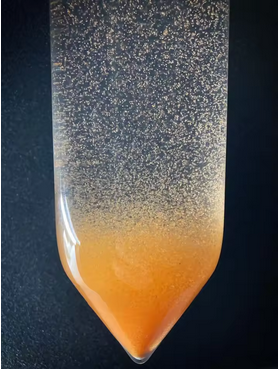 Brine Shrimp (Artemia) Eggs